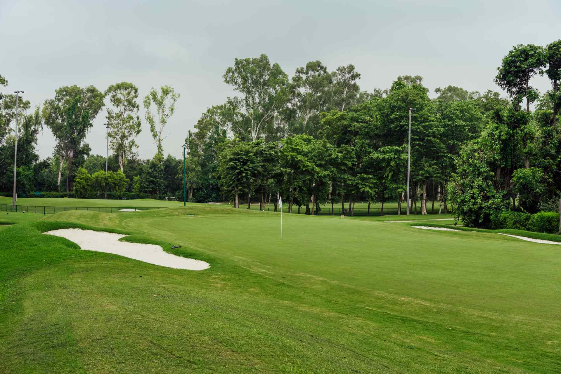 Manicured golf green with sand bunkers and mature trees